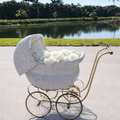 Vintage Stroller Pram