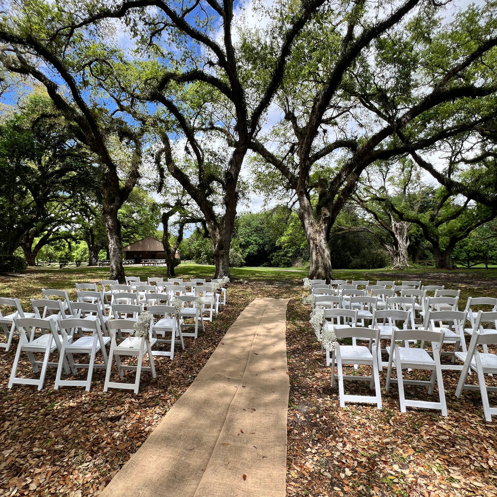 White chairs arranged under a large tree in an outdoor setting