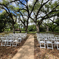 White chairs arranged under a large tree in an outdoor setting