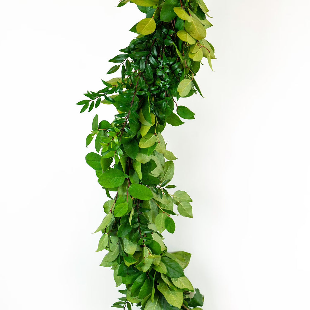 Real Greenery Decor Runners